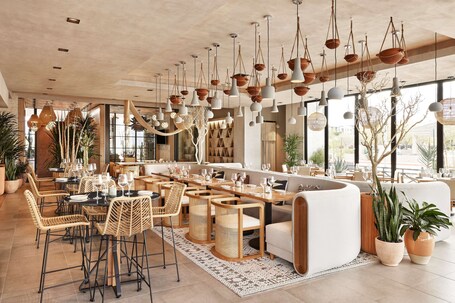 Senna House Hotel Scottsdale, Curio Collection by Hilton - Image 17