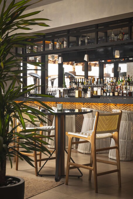 Senna House Hotel Scottsdale, Curio Collection by Hilton - Image 22