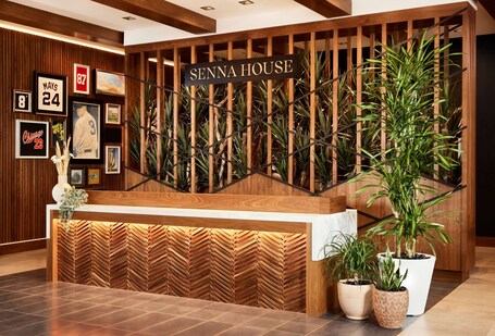 Senna House Hotel Scottsdale, Curio Collection by Hilton - Image 25