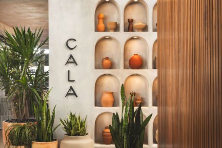 Senna House Hotel Scottsdale, Curio Collection by Hilton - Image 69