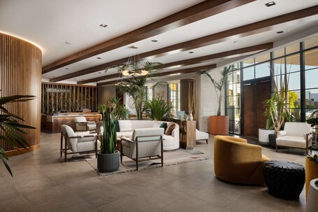 Senna House Hotel Scottsdale, Curio Collection by Hilton - Image 14