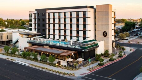 Senna House Hotel Scottsdale, Curio Collection by Hilton - Image 36