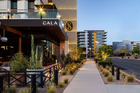 Senna House Hotel Scottsdale, Curio Collection by Hilton - Image 9