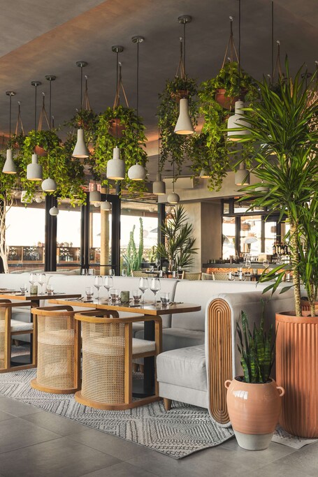 Senna House Hotel Scottsdale, Curio Collection by Hilton - Image 21