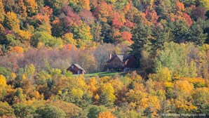 A house surrounded by autumn foliage. - Chalet w/ Lake & MT views, Hot Tub, Pet friendly,  <10mins to Lake & Golf (Wells)
