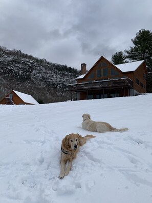 Property grounds - Chalet w/ Lake & MT views, Hot Tub, Pet friendly,  <10mins to Lake & Golf (Wells)