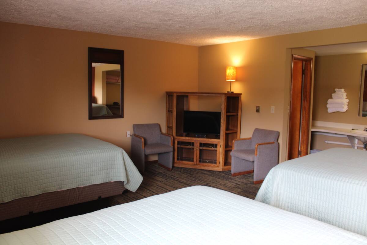 Ett hotellrum med två sängar, en tv, ett skrivbord och en spegel.