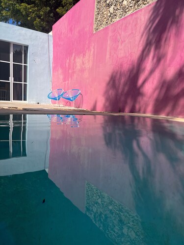 Casa de los Gatos : wonderful house in Merida