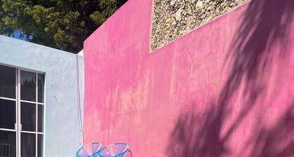 Casa de los Gatos : wonderful house in Merida