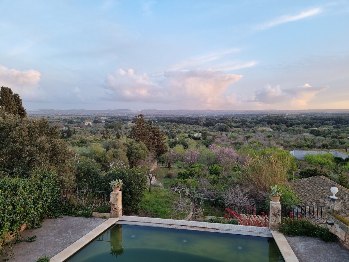 Imagen de perfil del propietario o de la propietaria