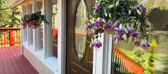 Discover Your Serenity: A Hidden Gem Awaits at our Serene Cottage In The Woods