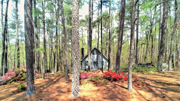 A cabin surrounded by tall pine trees and vibrant red foliage. - Make Casa Cabina Your Next Vacation Rental (Henderson)