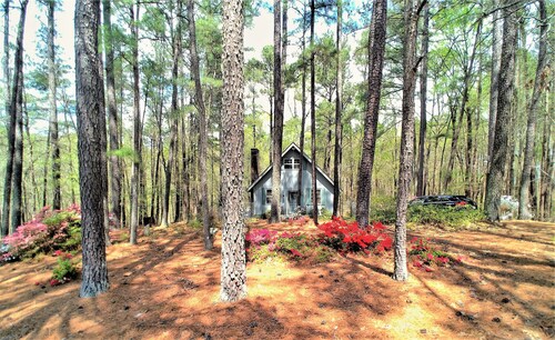 Make Casa Cabina Your Next Vacation Rental