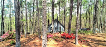 Make Casa Cabina Your Next Vacation Rental