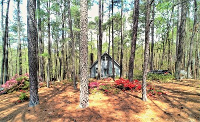 Make Casa Cabina Your Next Vacation Rental