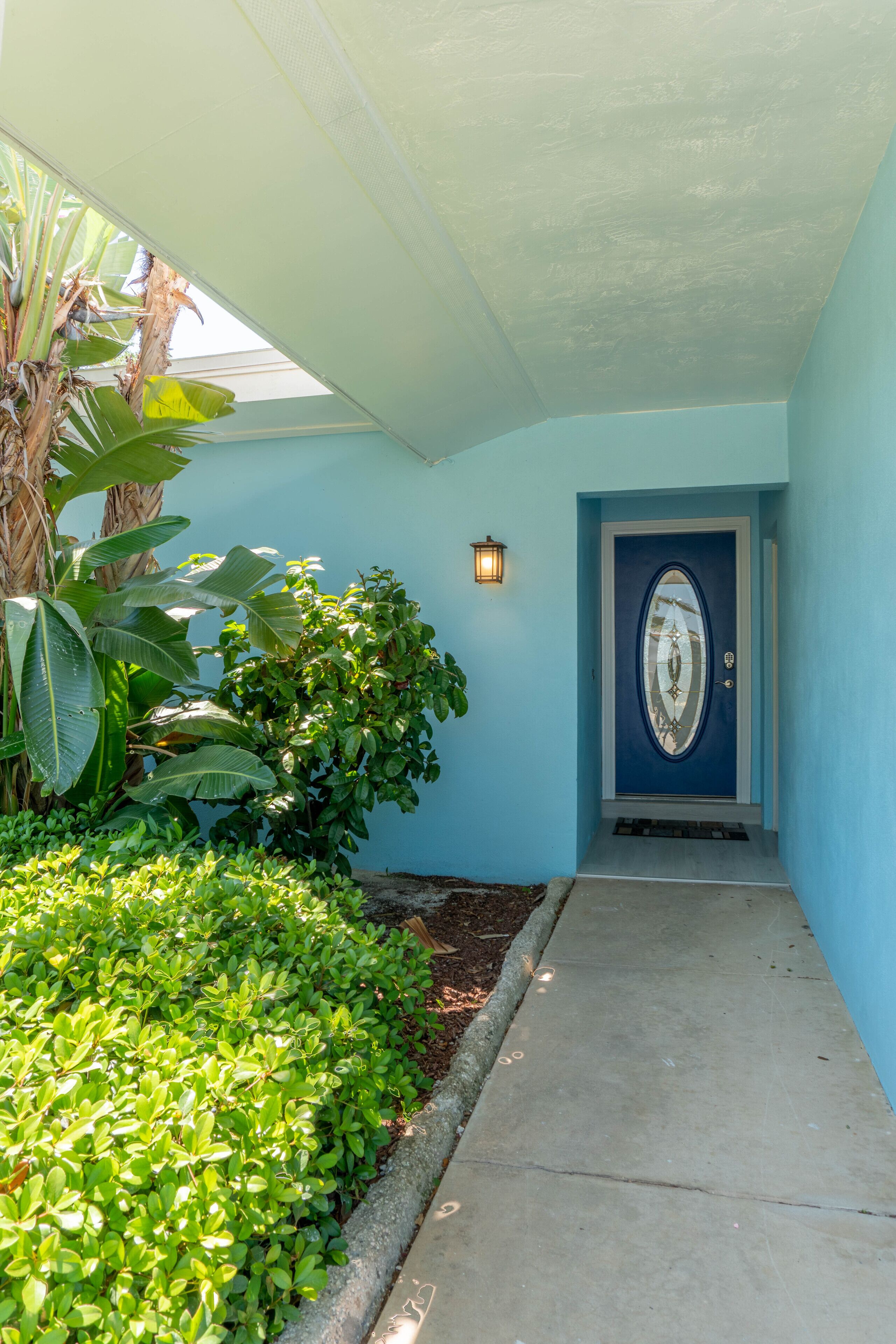 A blue door with a decorative glass panel, surrounded by lush green plants and a concrete pathway leading to it.