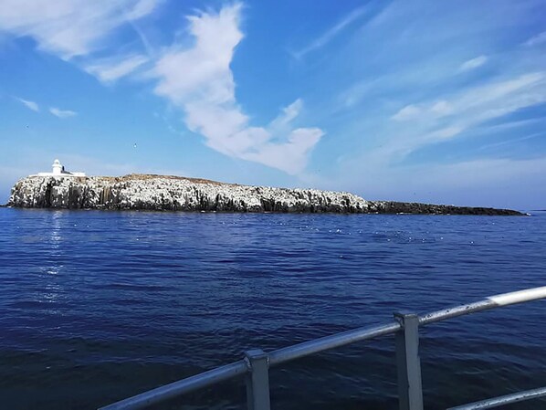 A lighthouse on a rocky outcrop surrounded by calm water.