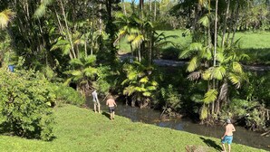 A grassy area with a small stream and dense tropical vegetation. - Heavenly Hanalei Home in Tropical Paradise (Hanalei)
