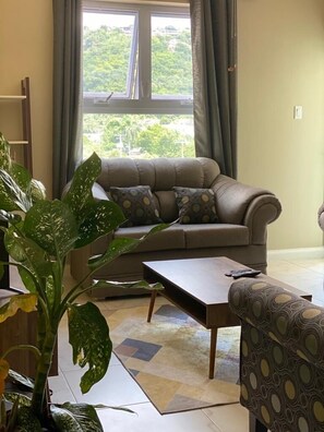 Téléviseur connecté, livres