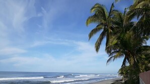 Een strand met palmbomen en een heldere lucht.