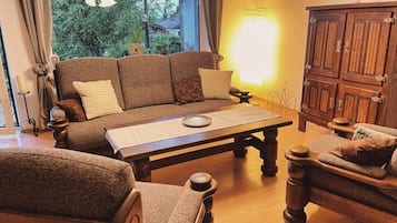 Televisión, chimenea y reproductor de DVD