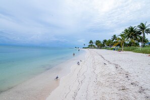 A beach with clear water, palm trees, and a few people.