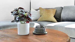 A modern living room with a wooden coffee table, a white vase with a plant, and a stack of coasters. - Esser · 4Bed Charmer in Central Washington/East Peoria (Washington)