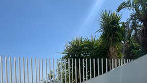 Ein Pool mit geschwungener Kante, umgeben von einem weißen Zaun und Palmen.