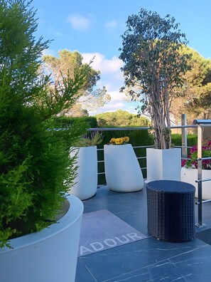 Áreas de la propiedad