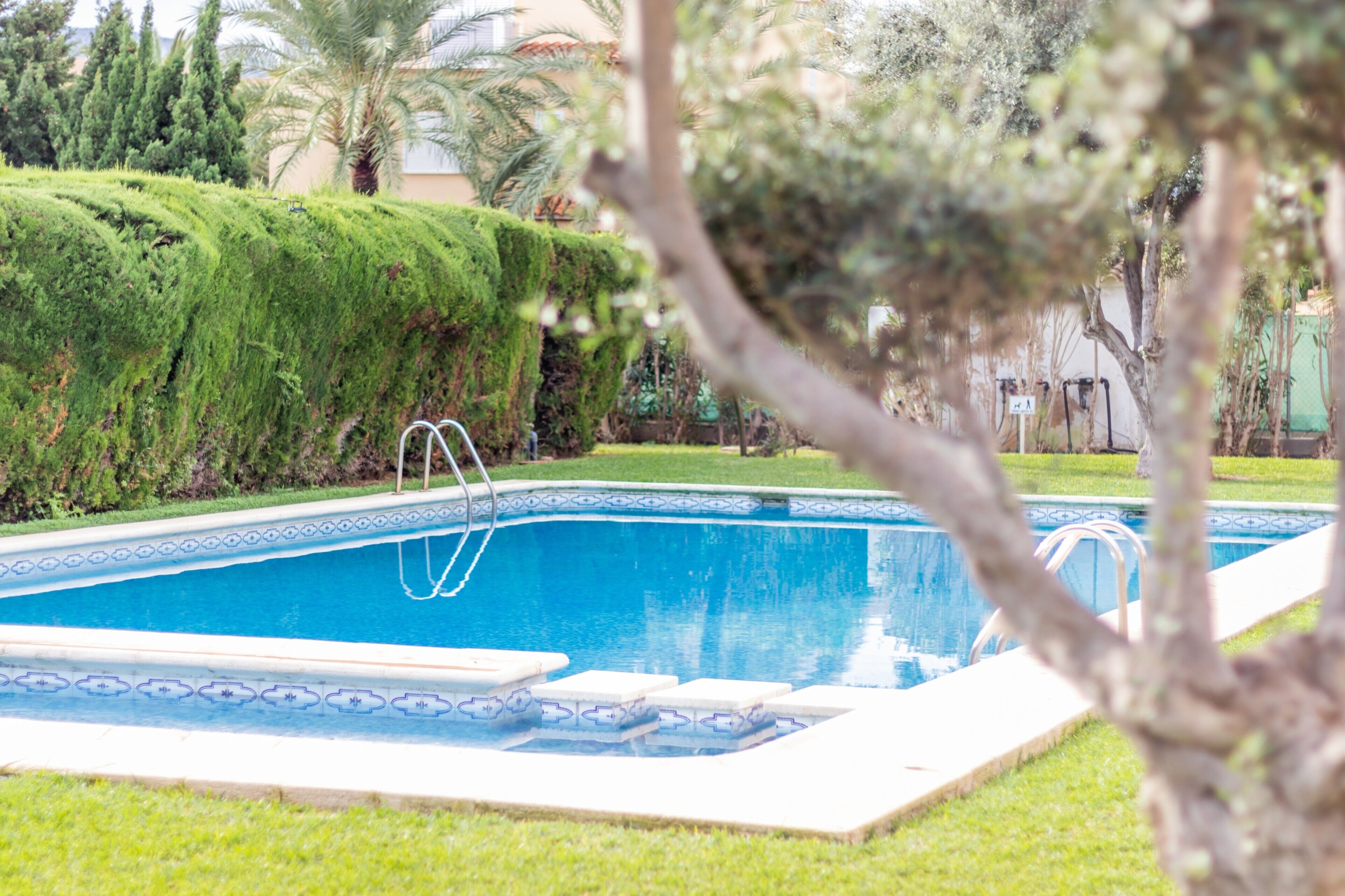 Una piscina con escalera, rodeada de césped y árboles bien cuidados.
