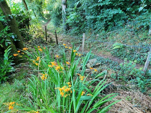 18th century barn of the Kerguerhent mill, its river, forest and meadows. 