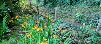 18th century barn of the Kerguerhent mill, its river, forest and meadows. 
