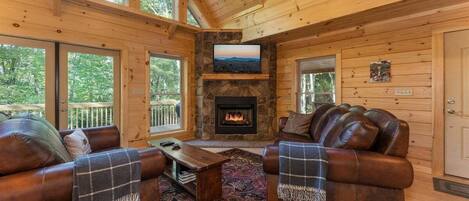 Televisión, chimenea y reproductor de DVD