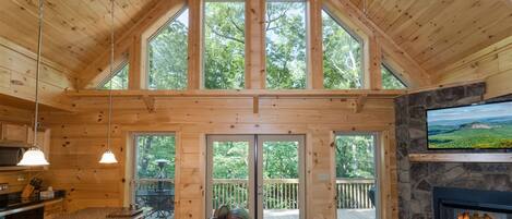 Télévision, cheminée, lecteur de DVD