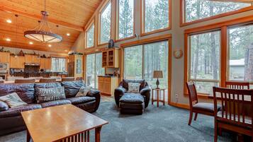 Télévision, cheminée, jeux vidéo, lecteur de DVD