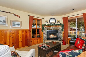 Televisio, takka, videopelejä