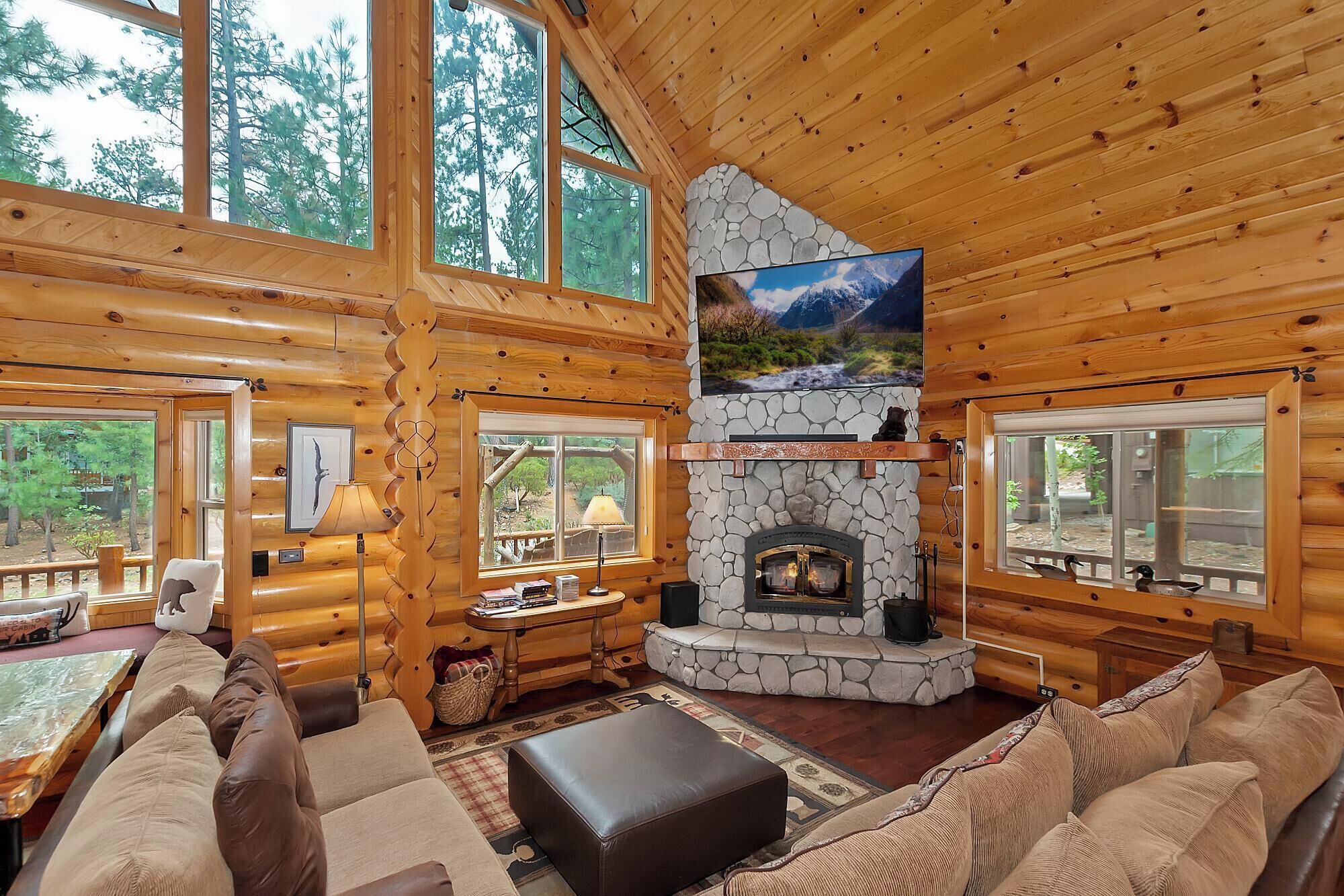 Télévision, cheminée, jeux vidéo, lecteur de DVD