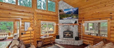 Télévision, cheminée, jeux vidéo, lecteur de DVD