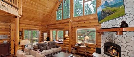 Een televisie, een open haard, videogames en een dvd-speler