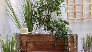 Um banco de madeira rústico com um cachepot com plantas verdes e uma vela.