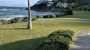 Vista costera con una palmera, una zona verde y una colina con casas.