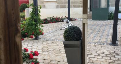 Maison de maßtre à 400 m du zoo de doué avec terrasse parc arboré