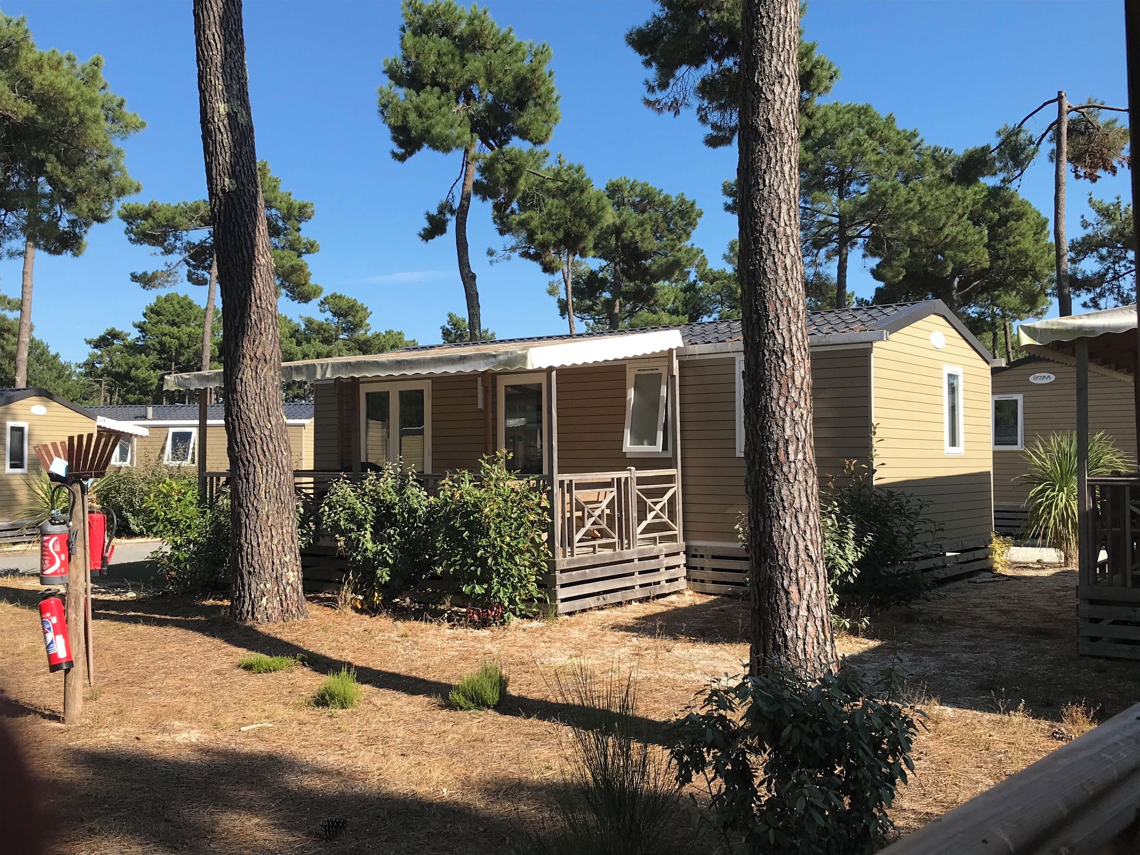 A mobile home with a porch, surrounded by trees and dry grass.