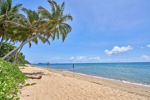 A beach with palm trees, a clear sky, and calm sea. - Costa Unit 1 | 3 Bedroom Beachfront Apartment (Trinity Beach)