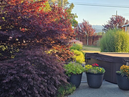 “Wise Old Owl Retreat – Spacious, Serene & Minutes from Every Olympic Wonder”