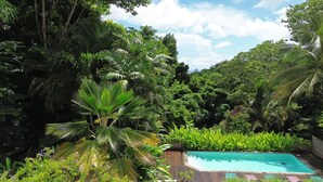 A pool surrounded by lush greenery and trees. - Villa with exceptional view of tropical garden! (Rivière-Salée)
