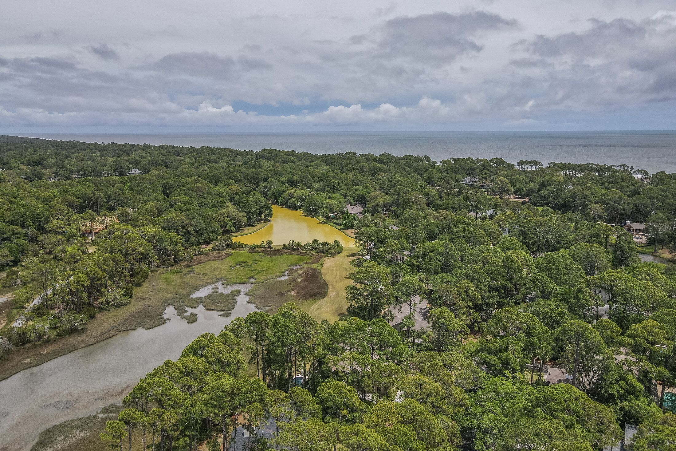 An aerial view of a coastal area with dense greenery, a river, and a body of water with a yellowish hue.