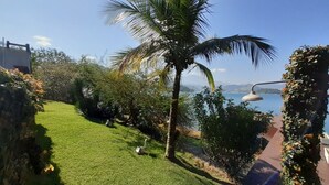 Un césped cuidado con un árbol de palmera, una terraza de madera y vistas a un cuerpo de agua.