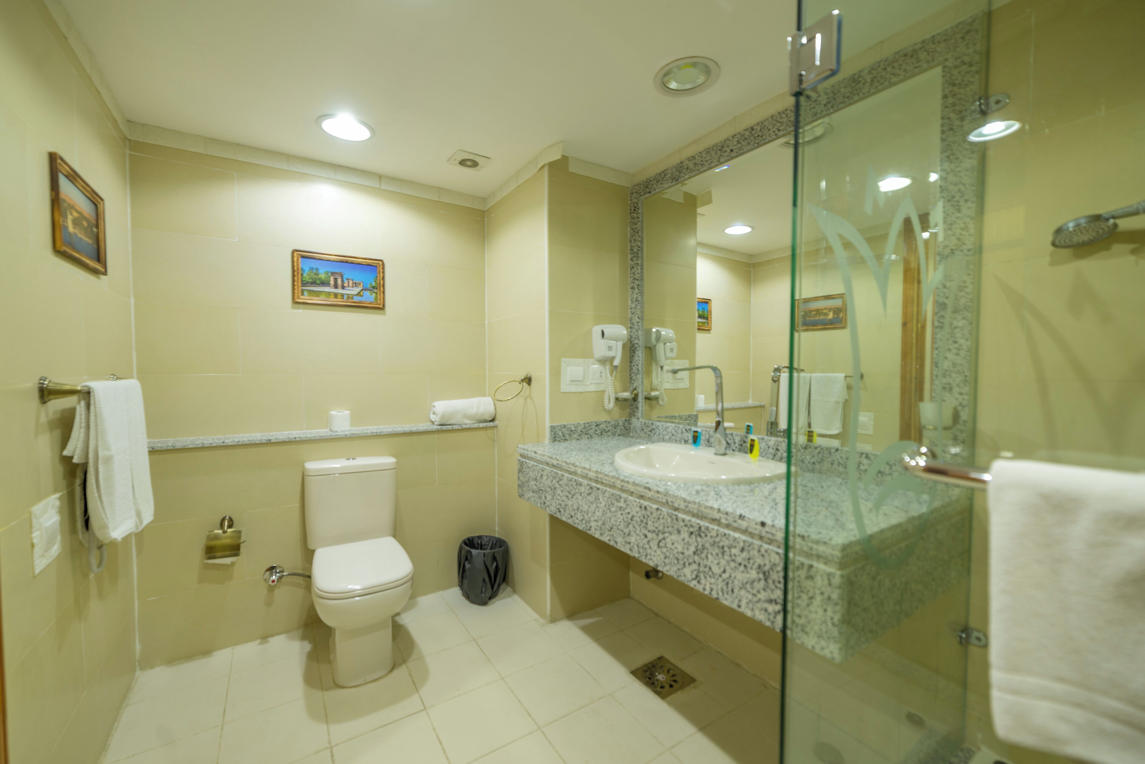 Foto - Regency Pyramids Hotel