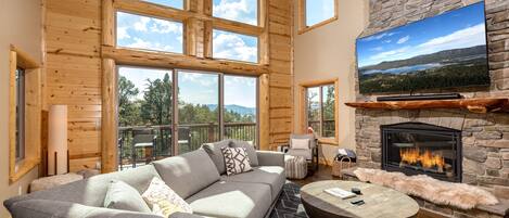 Älytelevisio, takka, videopelejä, kirjoja